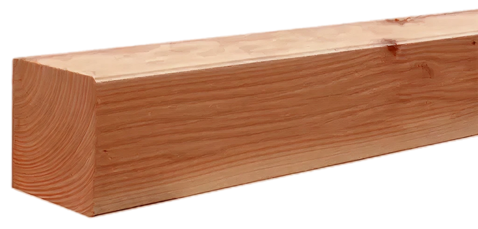 Douglas fijnbezaagde paal 10 x 10 cm